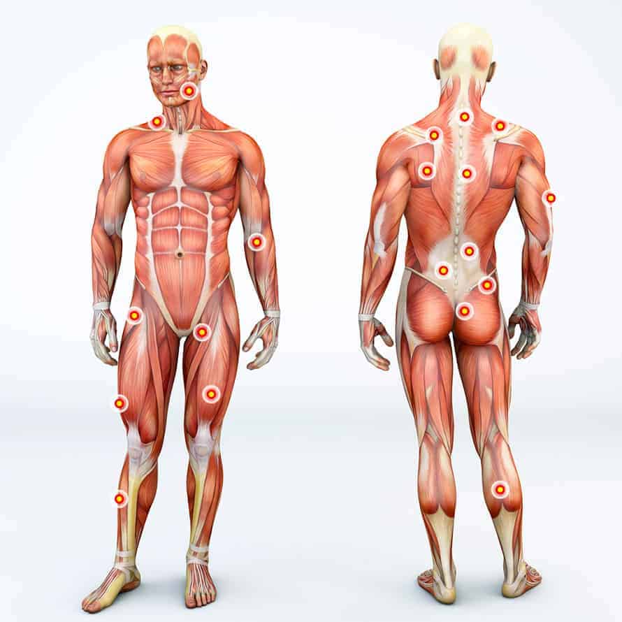 Fascial Fitness